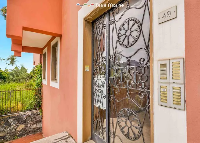 Ulivi E Salsedine, Terre Marine *